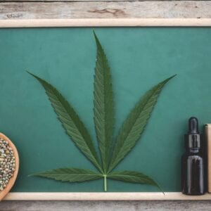 THC vs CBD: Diferencias,